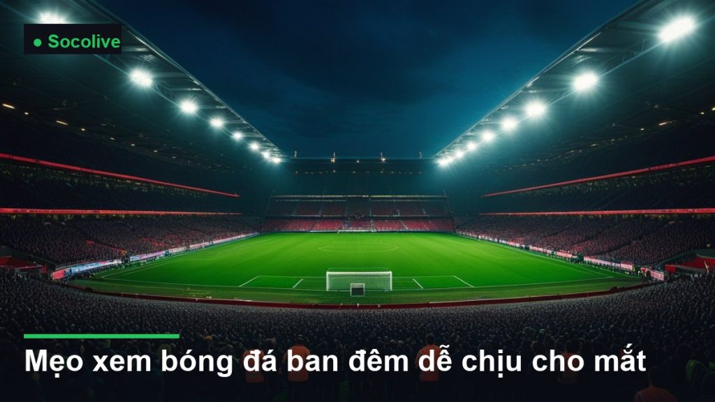 sân vận động bóng đá về đêm dưới ánh đèn pha - mẹo xem bóng đá ban đêm dễ chịu cho mắt